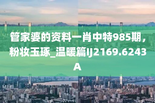 管家婆的资料一肖中特985期，粉妆玉琢_温暖篇IJ2169.6243A