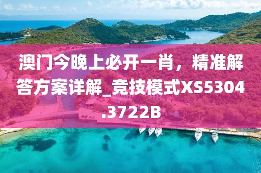 澳门今晚上必开一肖，精准解答方案详解_竞技模式XS5304.3722B