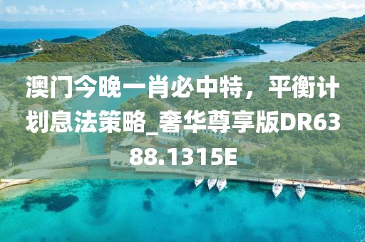 澳门今晚一肖必中特，平衡计划息法策略_奢华尊享版DR6388.1315E