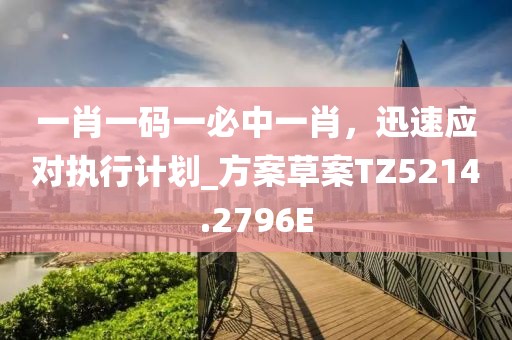一肖一码一必中一肖，迅速应对执行计划_方案草案TZ5214.2796E