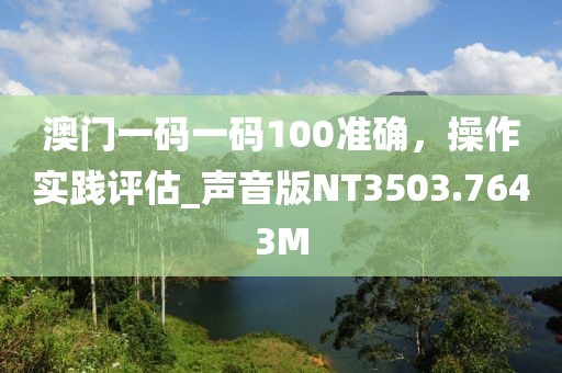 澳门一码一码100准确，操作实践评估_声音版NT3503.7643M