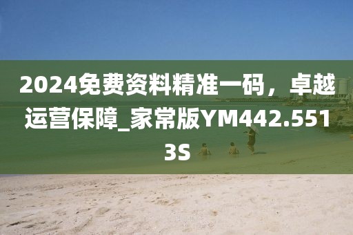 2024免费资料精准一码，卓越运营保障_家常版YM442.5513S