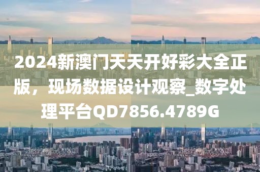 2024新澳门天天开好彩大全正版，现场数据设计观察_数字处理平台QD7856.4789G