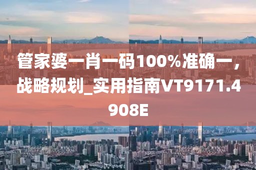 管家婆一肖一码100%准确一，战略规划_实用指南VT9171.4908E