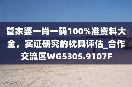 管家婆一肖一码100%准资料大全，实证研究的枕具评估_合作交流区WG5305.9107F
