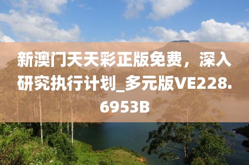 新澳门天天彩正版免费，深入研究执行计划_多元版VE228.6953B