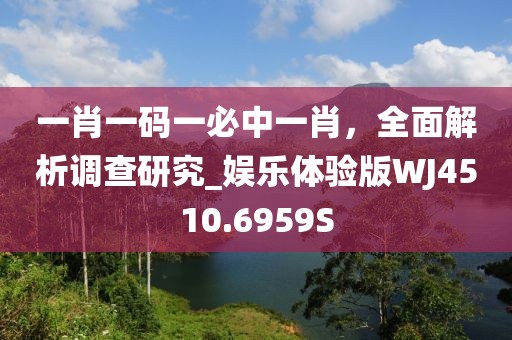 一肖一码一必中一肖，全面解析调查研究_娱乐体验版WJ4510.6959S