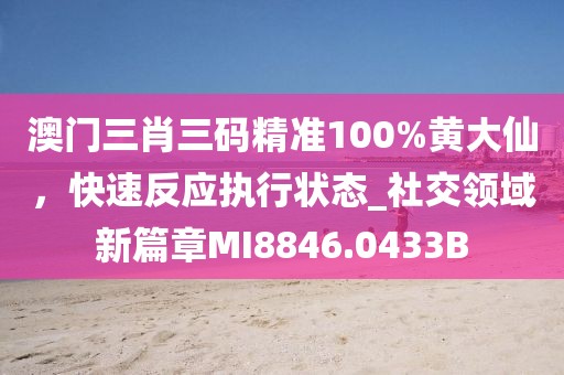 澳门三肖三码精准100%黄大仙，快速反应执行状态_社交领域新篇章MI8846.0433B