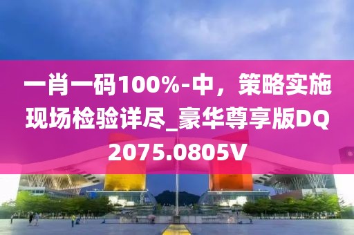 一肖一码100%-中，策略实施现场检验详尽_豪华尊享版DQ2075.0805V