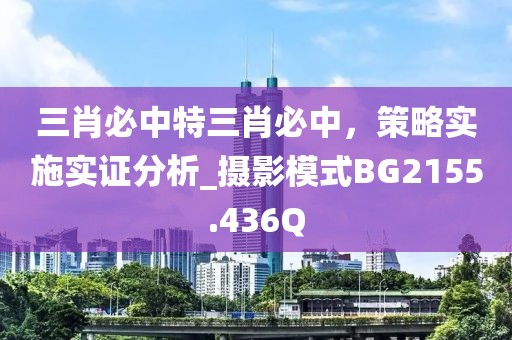 三肖必中特三肖必中，策略实施实证分析_摄影模式BG2155.436Q