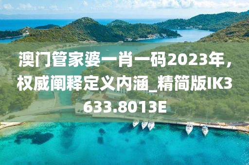 澳门管家婆一肖一码2023年，权威阐释定义内涵_精简版IK3633.8013E