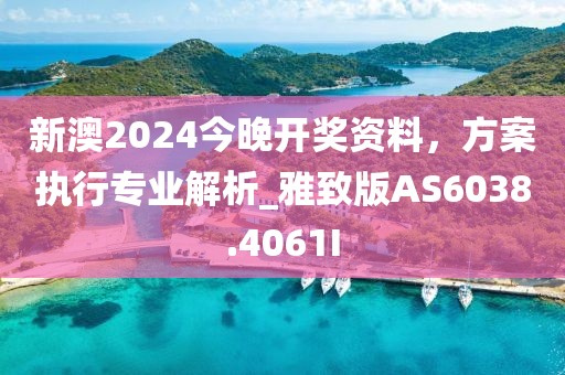 新澳2024今晚开奖资料，方案执行专业解析_雅致版AS6038.4061I