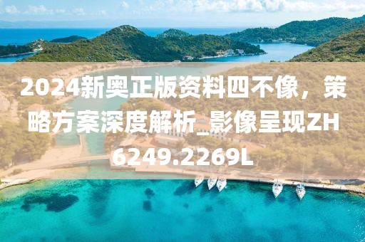 2024新奥正版资料四不像，策略方案深度解析_影像呈现ZH6249.2269L
