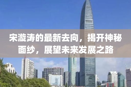 宋漩涛的最新去向，揭开神秘面纱，展望未来发展之路
