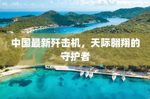 中国最新歼击机，天际翱翔的守护者