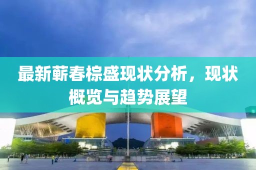 最新蕲春棕盛现状分析，现状概览与趋势展望