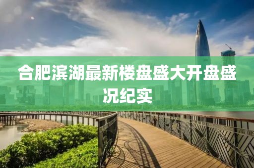 合肥滨湖最新楼盘盛大开盘盛况纪实