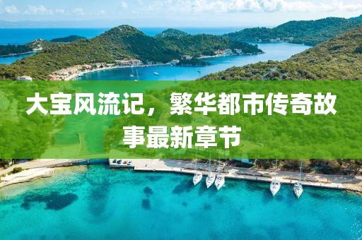 大宝风流记，繁华都市传奇故事最新章节
