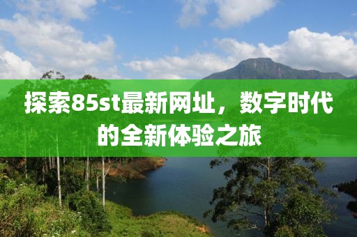 探索85st最新网址，数字时代的全新体验之旅