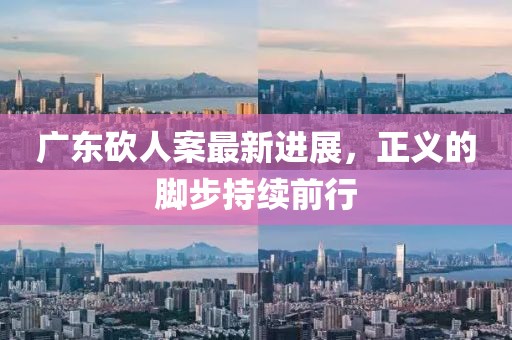 广东砍人案最新进展，正义的脚步持续前行