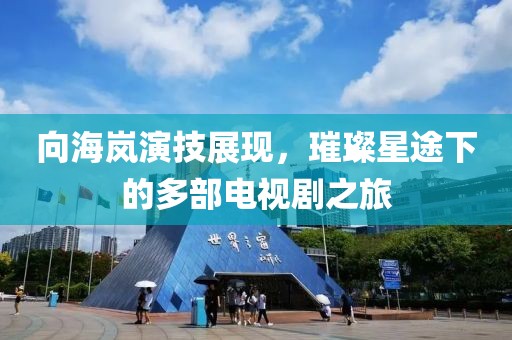 向海岚演技展现，璀璨星途下的多部电视剧之旅