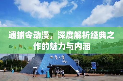 逮捕令动漫，深度解析经典之作的魅力与内涵