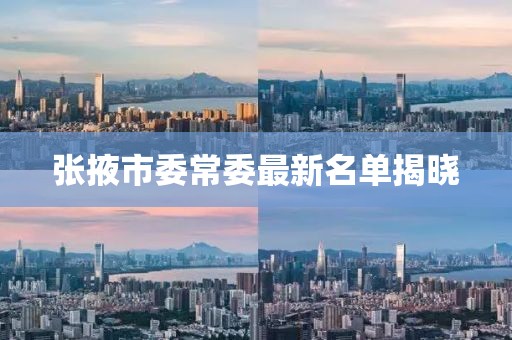 张掖市委常委最新名单揭晓