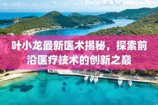 叶小龙最新医术揭秘，探索前沿医疗技术的创新之巅