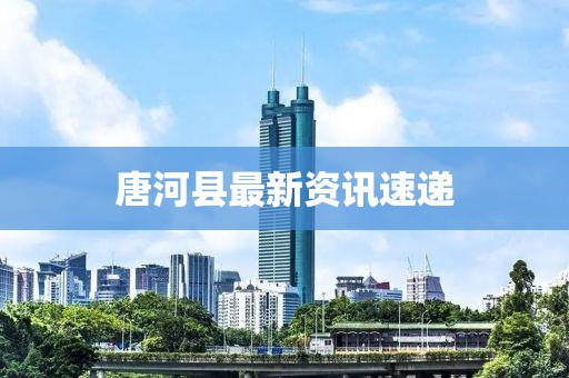 唐河县最新资讯速递
