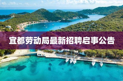 宜都劳动局最新招聘启事公告