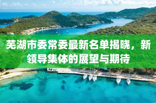 芜湖市委常委最新名单揭晓，新领导集体的展望与期待