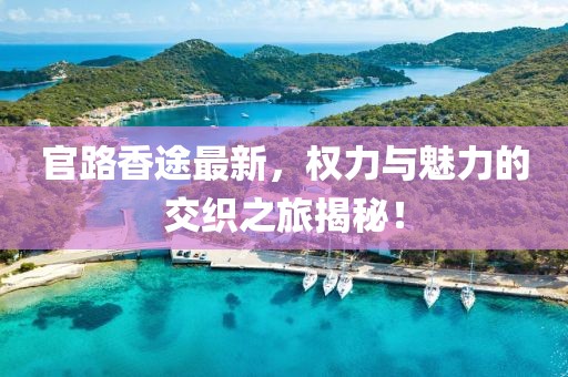 官路香途最新，权力与魅力的交织之旅揭秘！