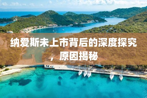 纳爱斯未上市背后的深度探究，原因揭秘