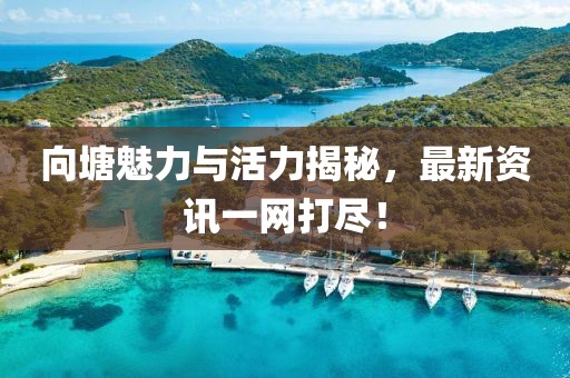 向塘魅力与活力揭秘，最新资讯一网打尽！
