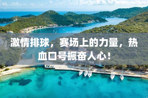 激情排球，赛场上的力量，热血口号振奋人心！