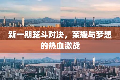 新一期笼斗对决，荣耀与梦想的热血激战