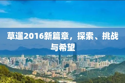 草遛2016新篇章，探索、挑战与希望