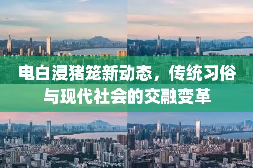 电白浸猪笼新动态，传统习俗与现代社会的交融变革