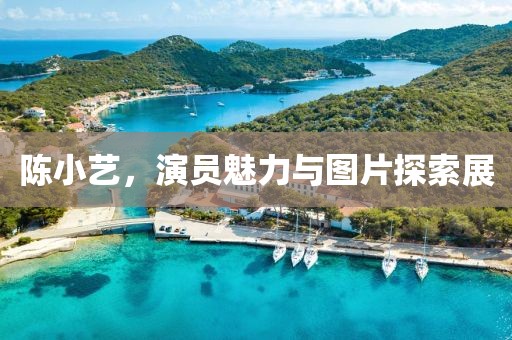 陈小艺，演员魅力与图片探索展