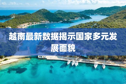 越南最新数据揭示国家多元发展面貌