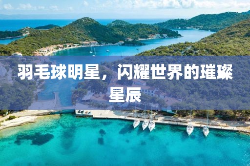 羽毛球明星，闪耀世界的璀璨星辰