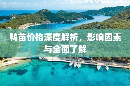 鸭苗价格深度解析，影响因素与全面了解
