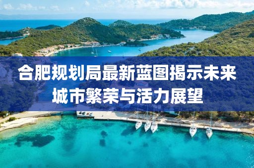 合肥规划局最新蓝图揭示未来城市繁荣与活力展望