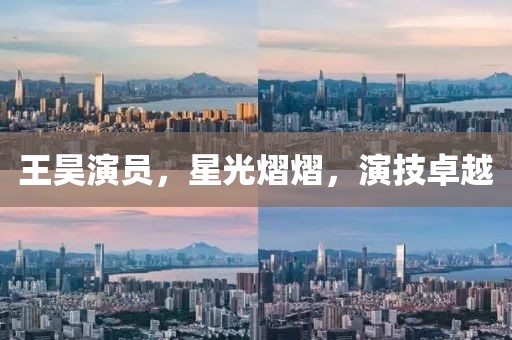 王昊演员，星光熠熠，演技卓越