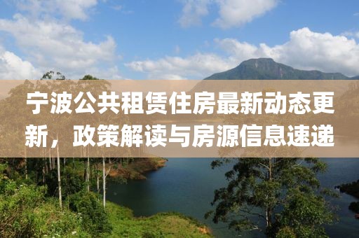 宁波公共租赁住房最新动态更新，政策解读与房源信息速递