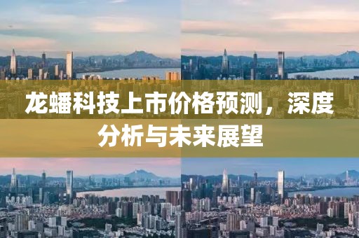 龙蟠科技上市价格预测，深度分析与未来展望
