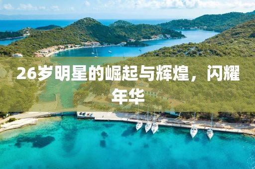 26岁明星的崛起与辉煌，闪耀年华