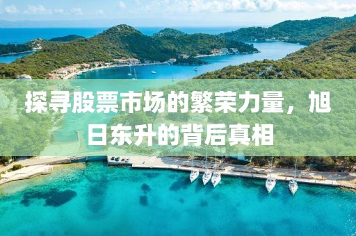 探寻股票市场的繁荣力量，旭日东升的背后真相