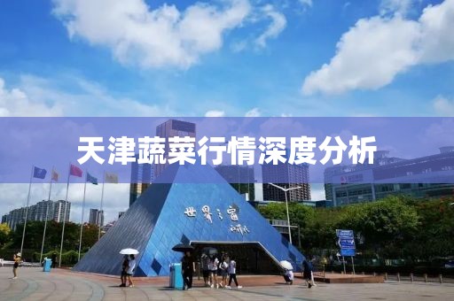 天津蔬菜行情深度分析