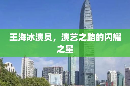 王海冰演员，演艺之路的闪耀之星